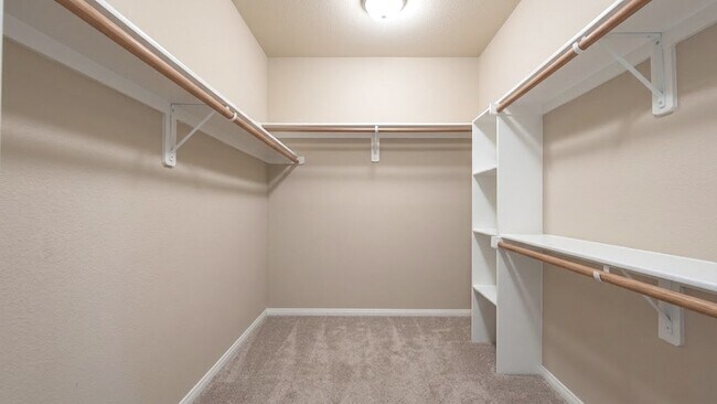 Building Photo - 14715 Palladio Dr