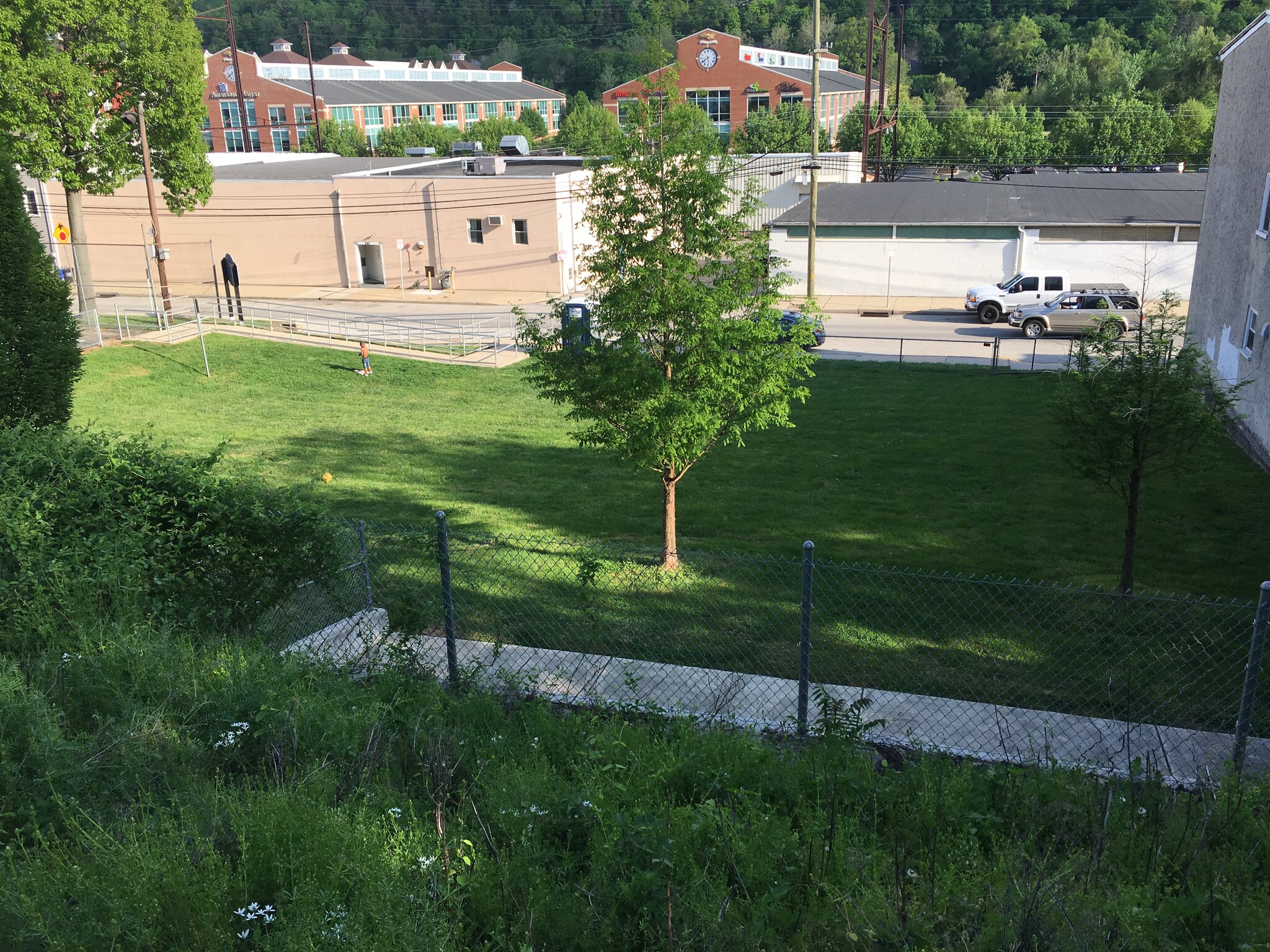 View of park from back deck - 227 E Hector St