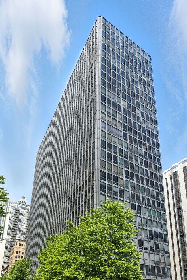 Building Photo - 900 N Lake Shore Dr