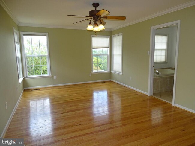 Building Photo - 213 Silverbell Ct