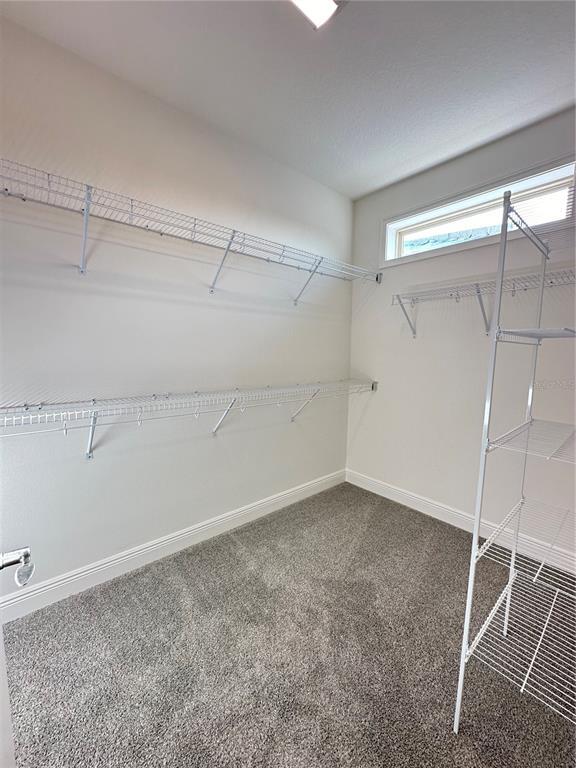 Building Photo - 13213 Winterton Ln