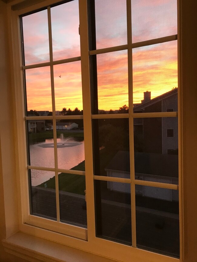 Building Photo - 2303 Vicente Ct