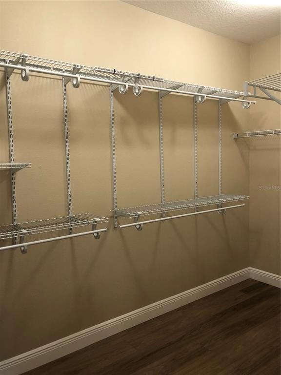Building Photo - 3905 Redfin Pl