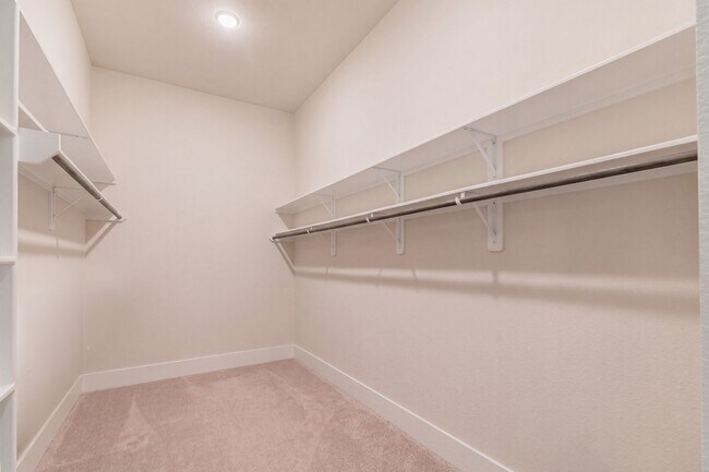 Building Photo - 10561 Lake Palmetto Dr