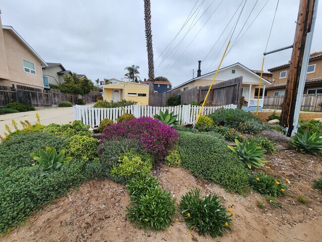 Primary Photo - n17290