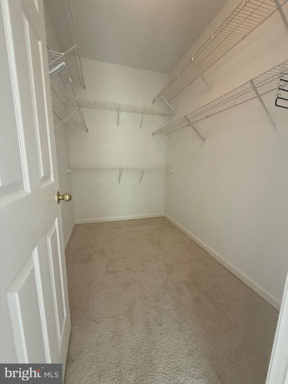 Building Photo - 12012 Taliesin Pl