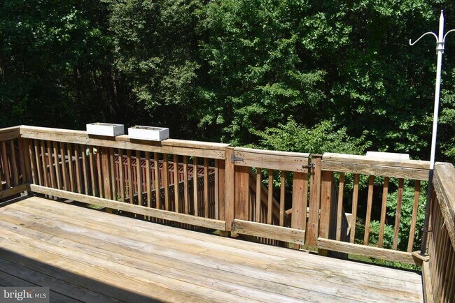 Building Photo - 1302 Arabis Ct