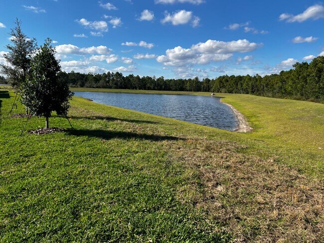 Building Photo - 12893 Harvest Rain Ave