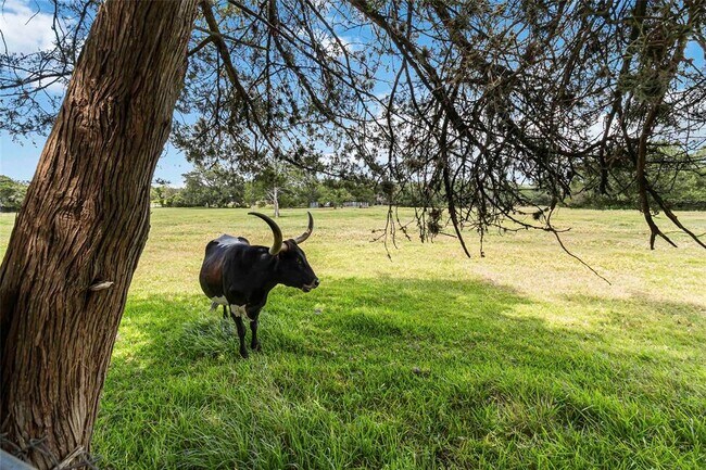 Building Photo - 730 N Sarah Jo St