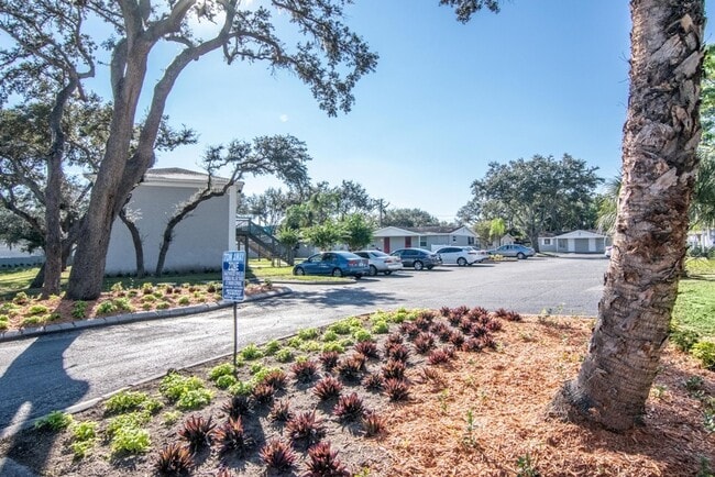 Building Photo - Newly Renovated and Remodeled - 2 Bedroom 1 Bath for Lease in Brandon, FL