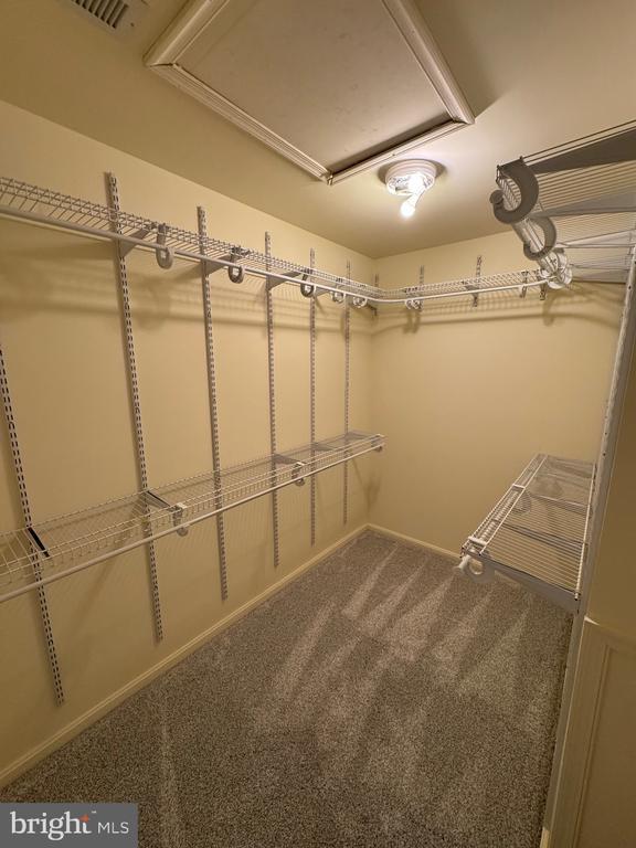 Building Photo - 3877 Shiner Ct