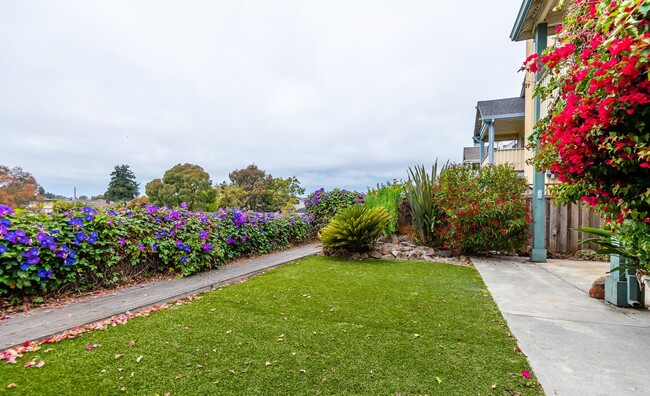 Primary Photo - Beautiful Capitola Home | Desirable Location