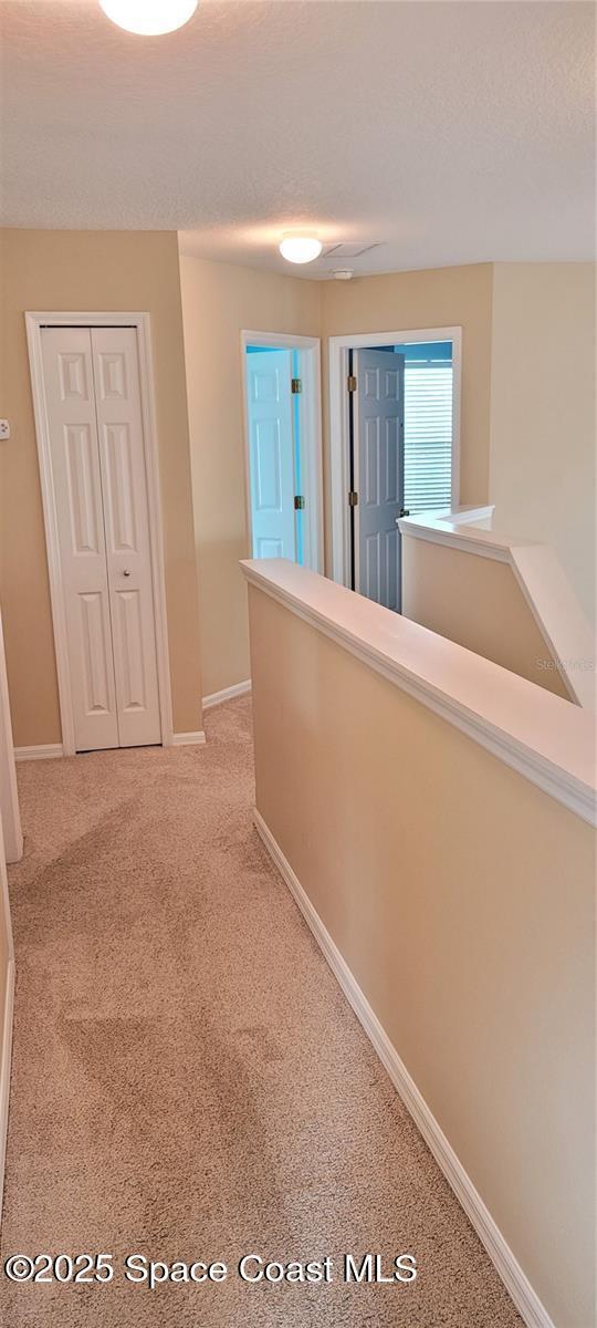 Building Photo - 1721 Saffron Plum Ln