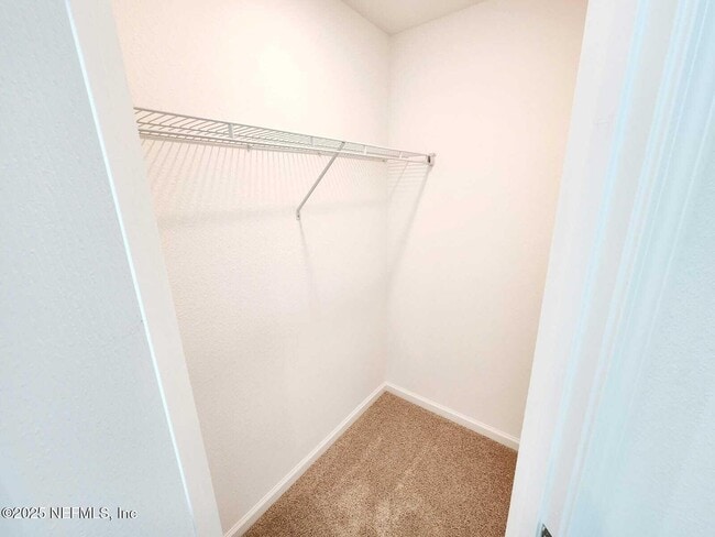 Building Photo - 61 Playa De Luna Ln