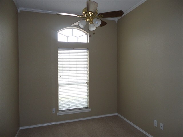 Building Photo - 3707 Sycamore Ln