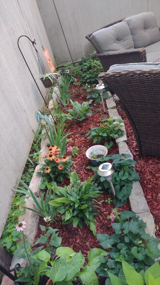 Private Garden - 403 East Bluff