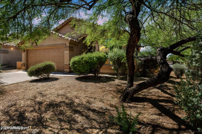 Building Photo - 10307 E Caribbean Ln
