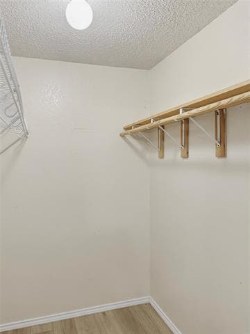 Building Photo - 10112 Chapel Glen Ter