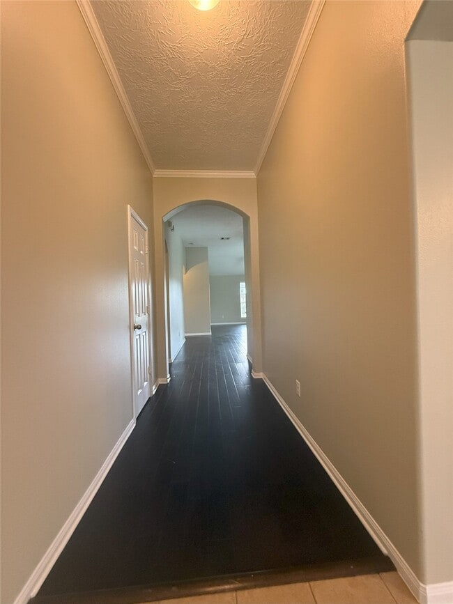 Building Photo - 11723 Bollinger Park Ct