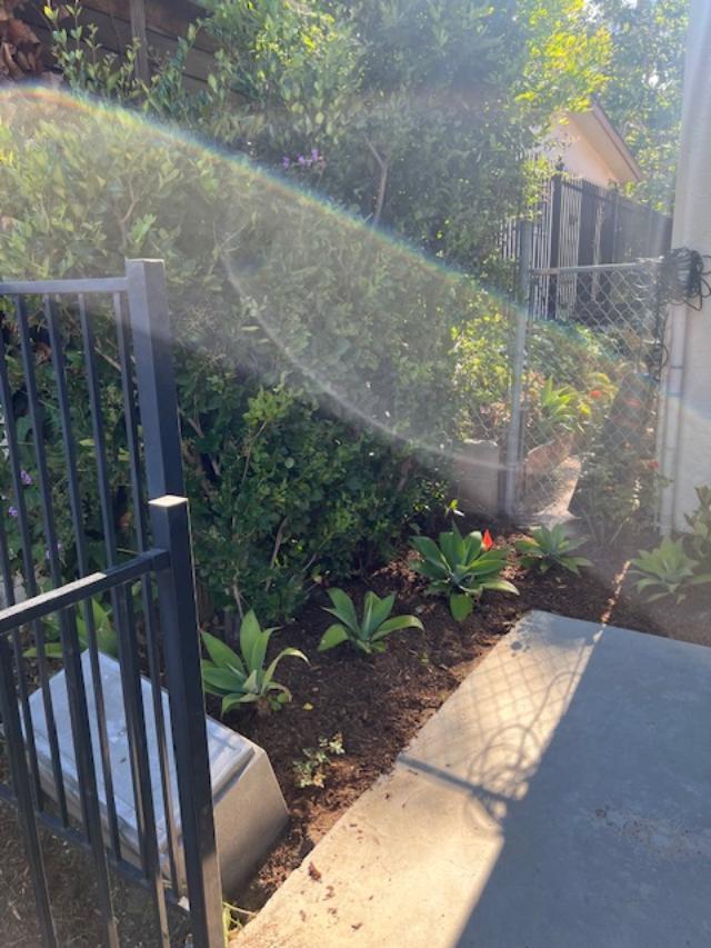 Water-friendly, native flora in back yard - 2812 Anchor Ave