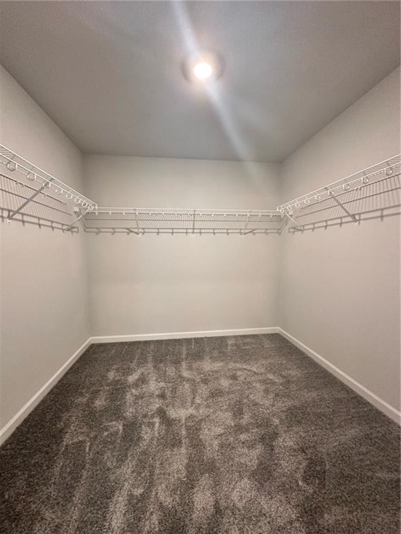 Building Photo - 454 Sterling Creek Wy