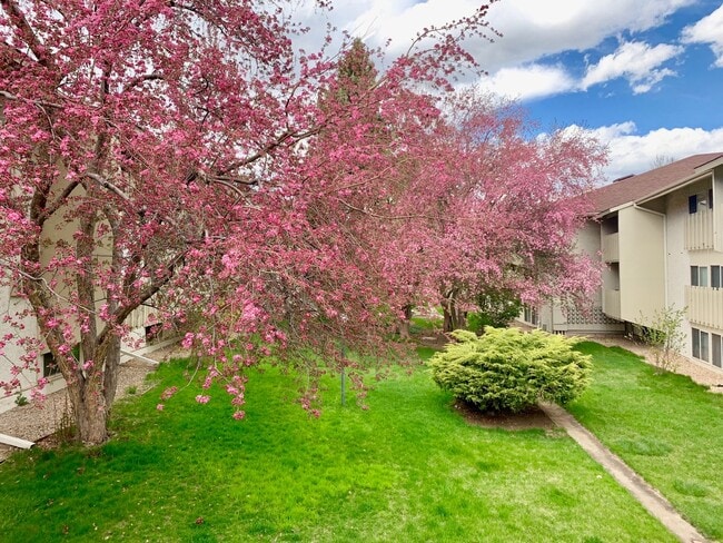 Building Photo - Available for immediate move in!! Remodele...