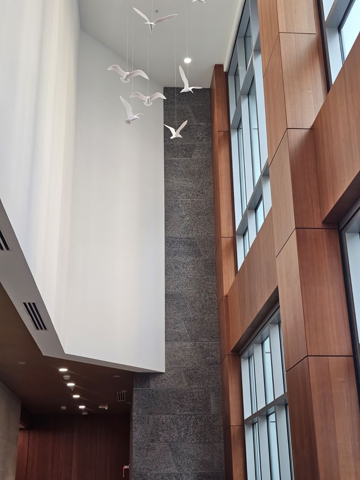 Building Photo - 1500 Rycroft St