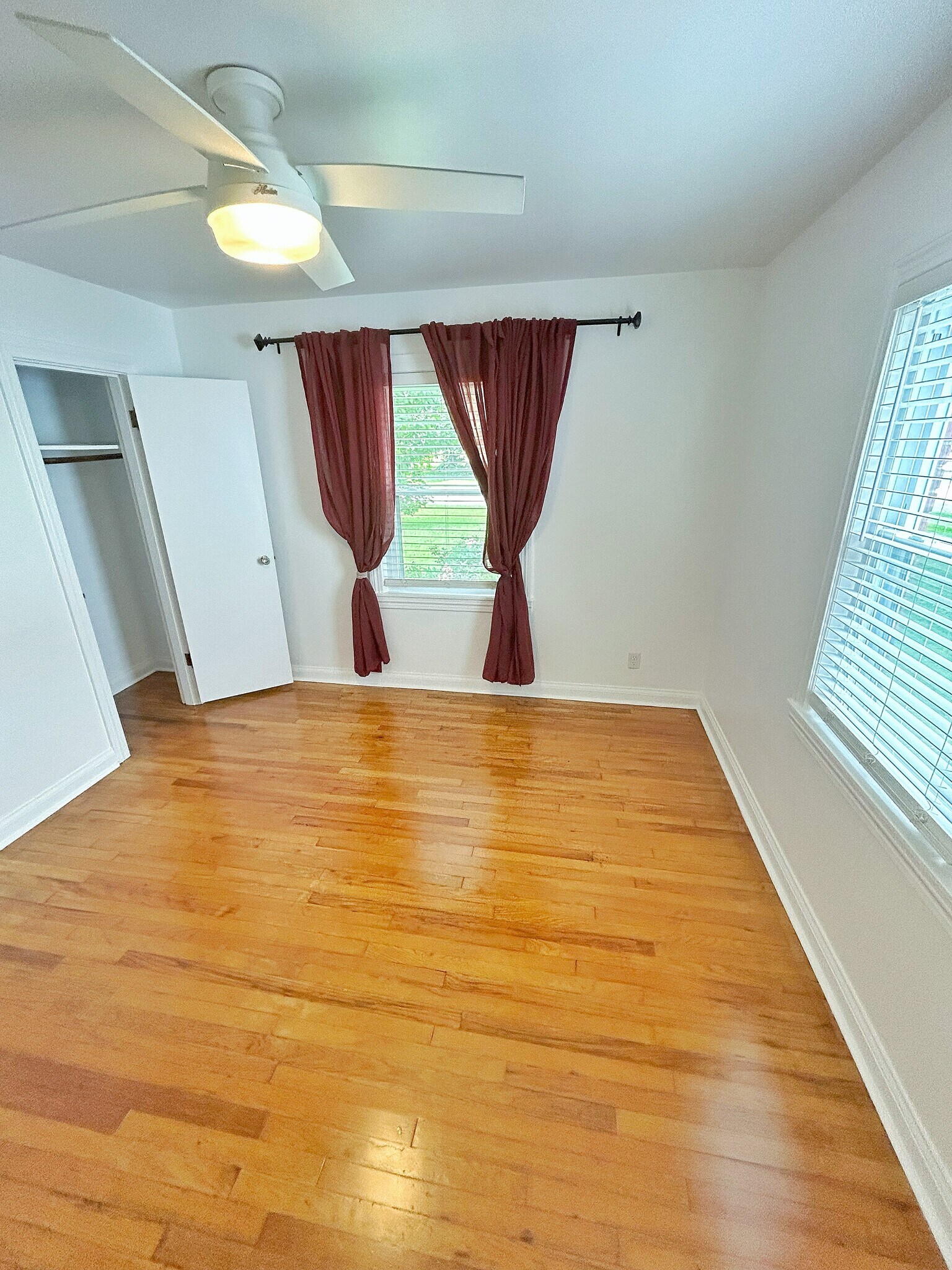Building Photo - 2915 Molter Ct