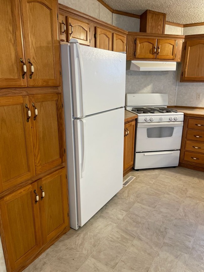 Building Photo - Wonderful 3 Bed 2 Bath In-Town