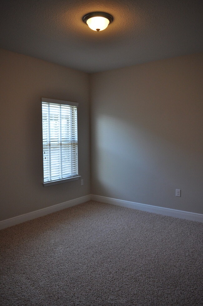 Building Photo - New 3 Bedroom in Driftwood Estates