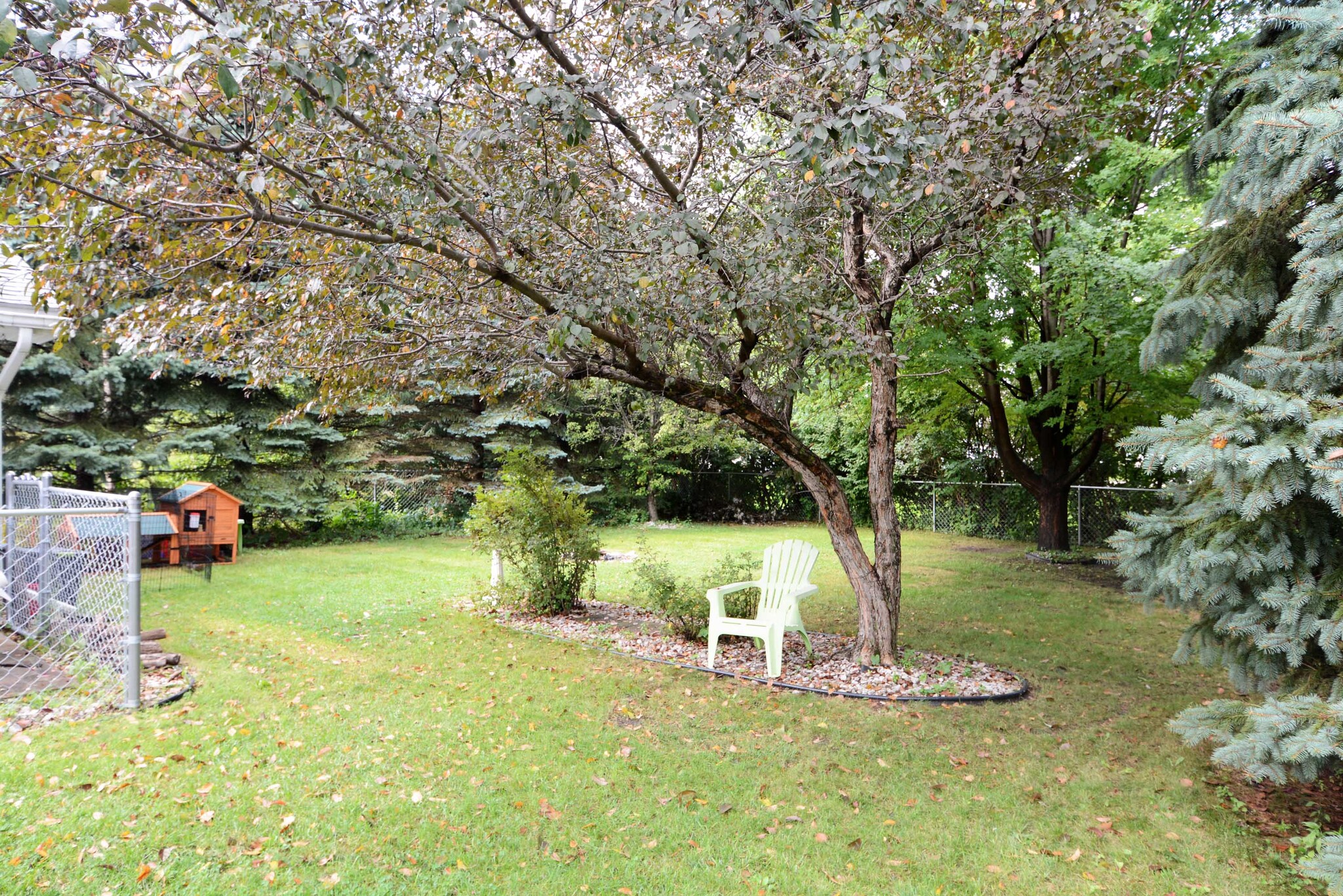Private, fully fenced backyard - 4239 Diamond Dr