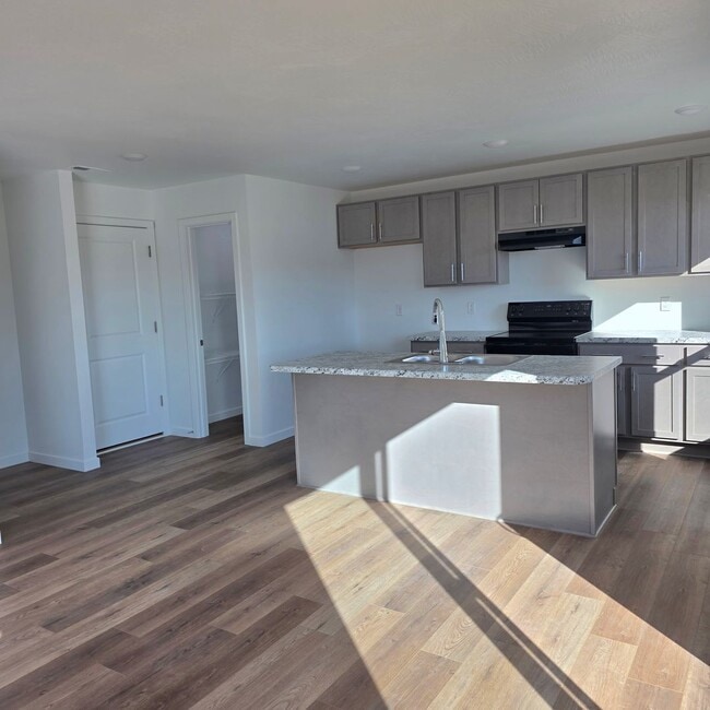 Building Photo - Brand New 4 Bedroom Home