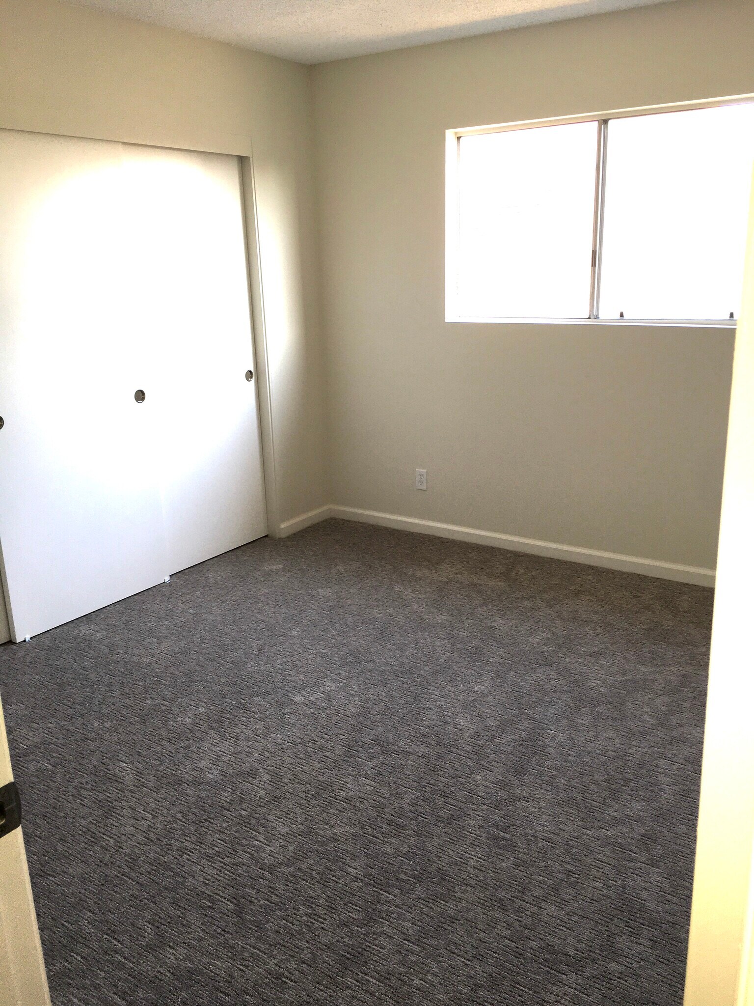 wall to wall carpet in bedrooms - 31 N Valencia St