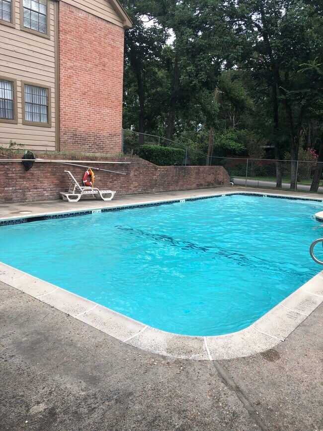 Swimming pool - 2401 Sycamore Ave