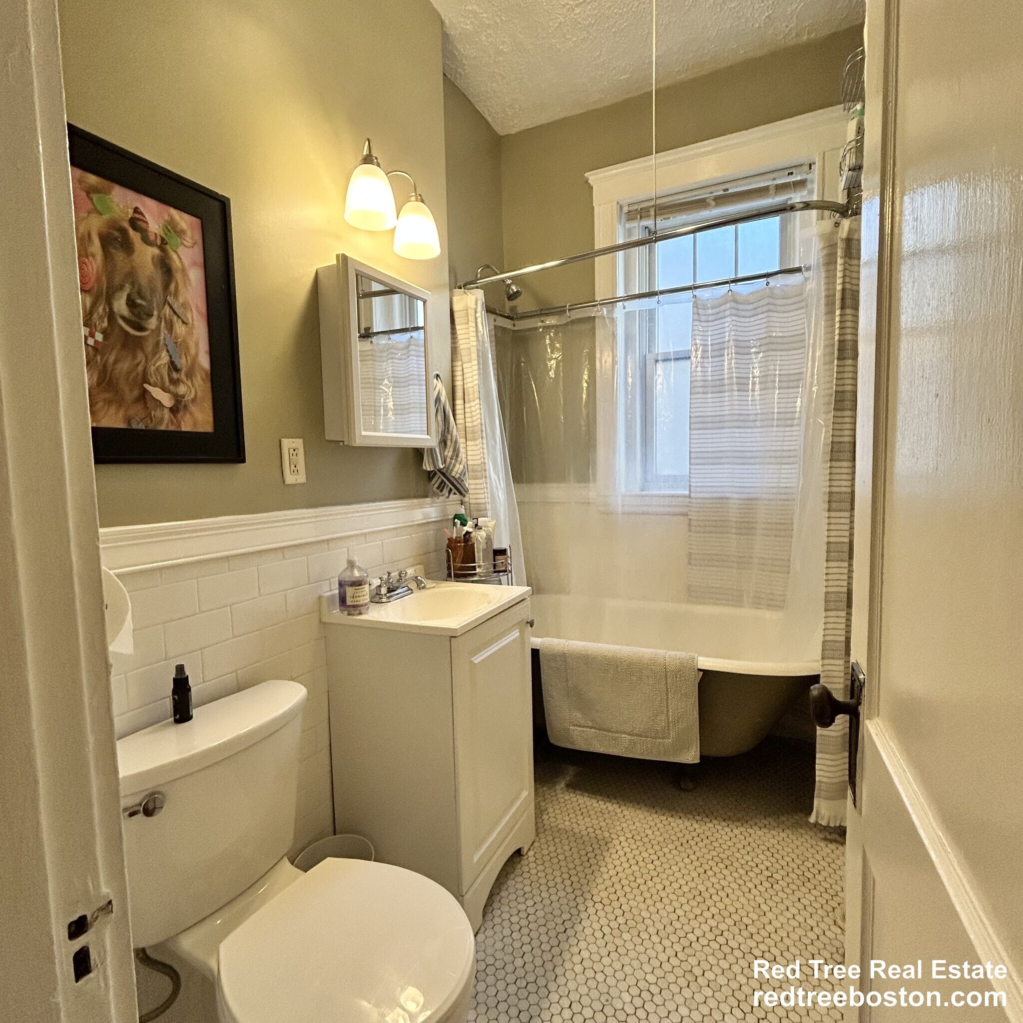 Building Photo - 1572 Commonwealth Ave