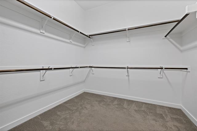 Building Photo - 883 Alfred Ct