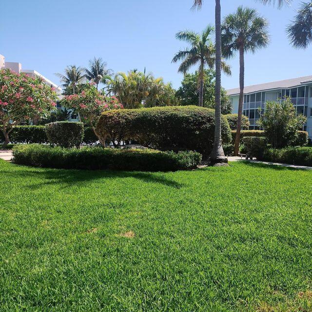 Building Photo - 2730 Banyan Rd