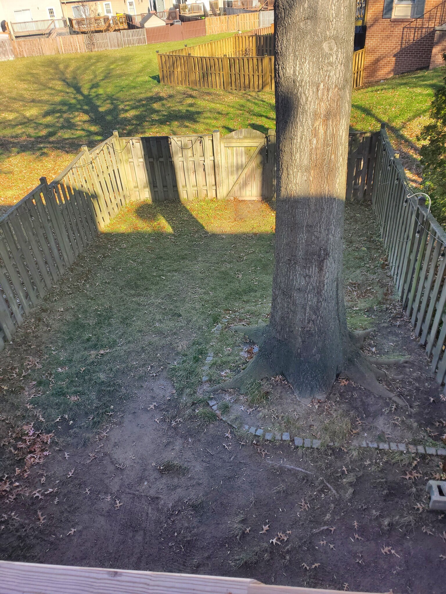 Building Photo - 1024 Cape Splitt Harbour