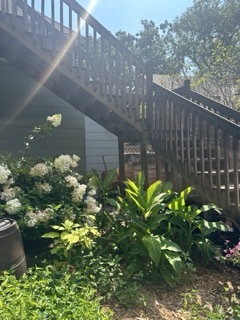 Stairs to Upper Deck - 38 Arthur Ave SE