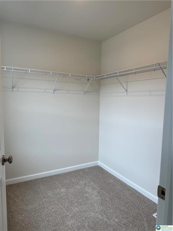 Building Photo - 1207 Susan Cir