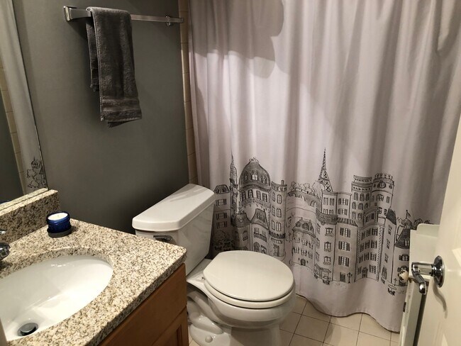 Basement Bathroom - 1604 W Edgewater Ave