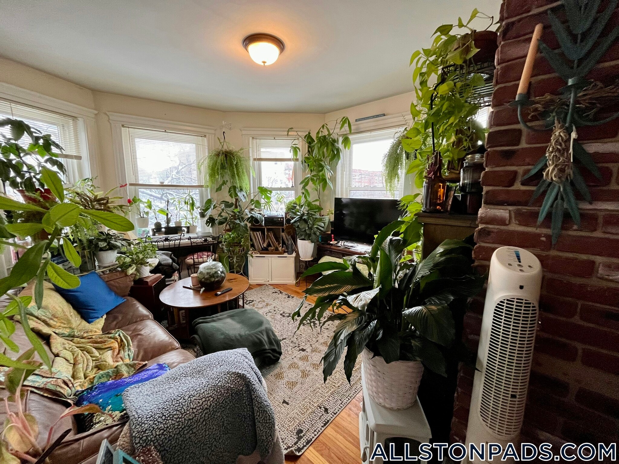 Building Photo - 1330 Commonwealth Ave