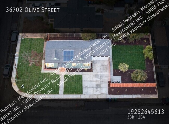 Building Photo - 36702 Olive St