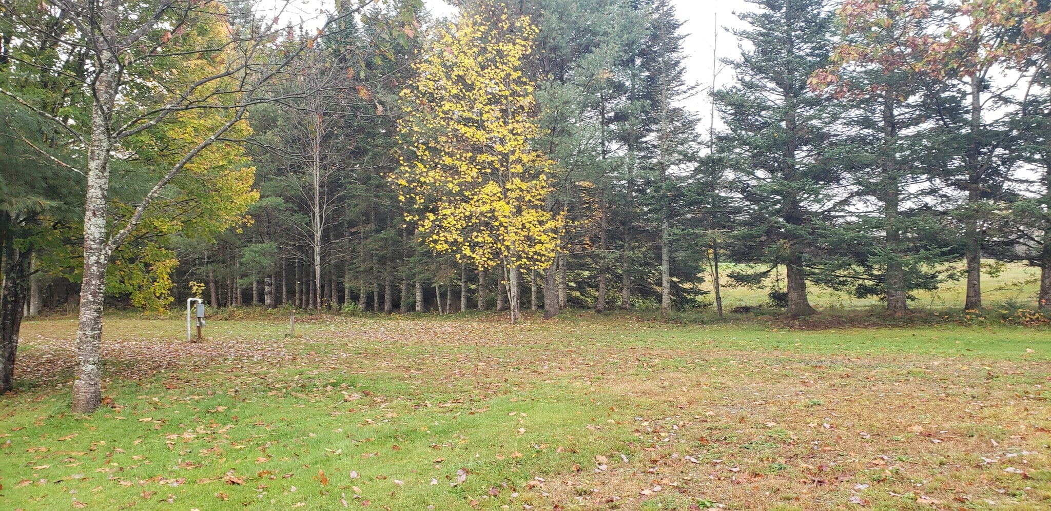 Building Photo - 162 Lancaster Rd