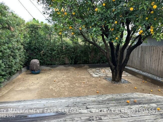 Building Photo - 5212 Mt Helena Ave