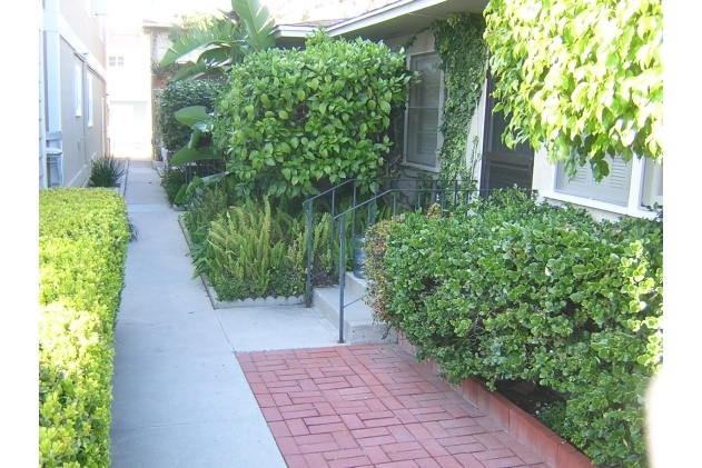 Building Photo - 311 Marguerite Ave