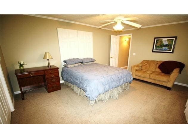 Building Photo - 4 bedroom, 3 bath Ranch Style Home