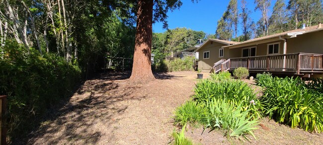 Building Photo - Walking Distance to Downtown Sebastopol