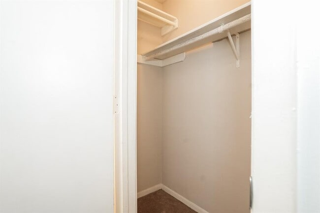 Building Photo - 5608 Cougar Dr