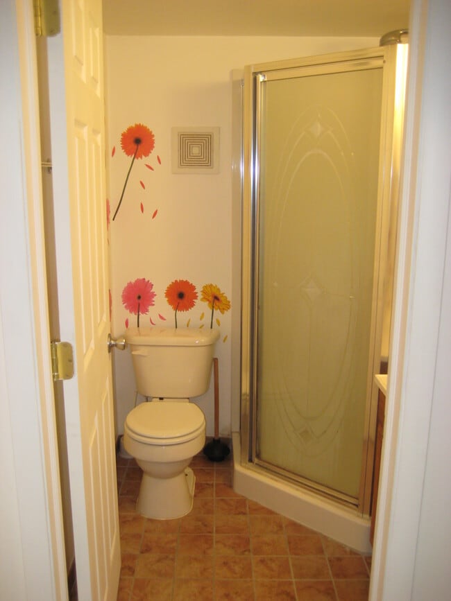 bathroom stand up shower - 142 George St